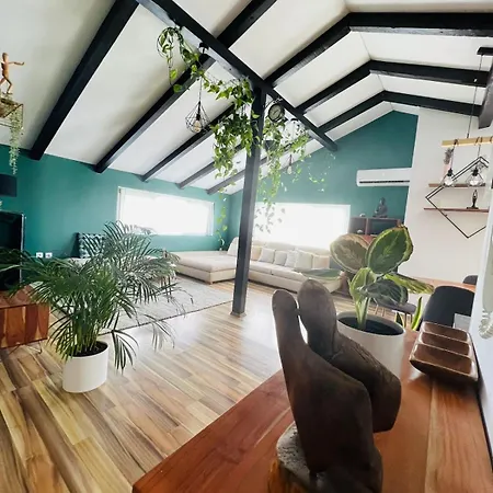 Apartment Stylish Attic
