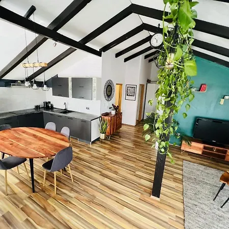 Apartment Stylish Attic
