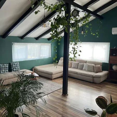 Apartment Stylish Attic *