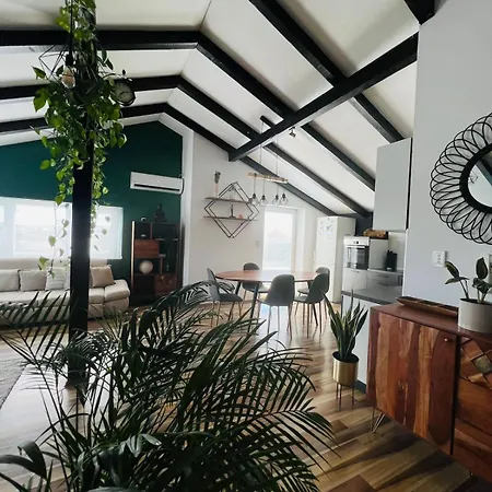 Apartment Stylish Attic *